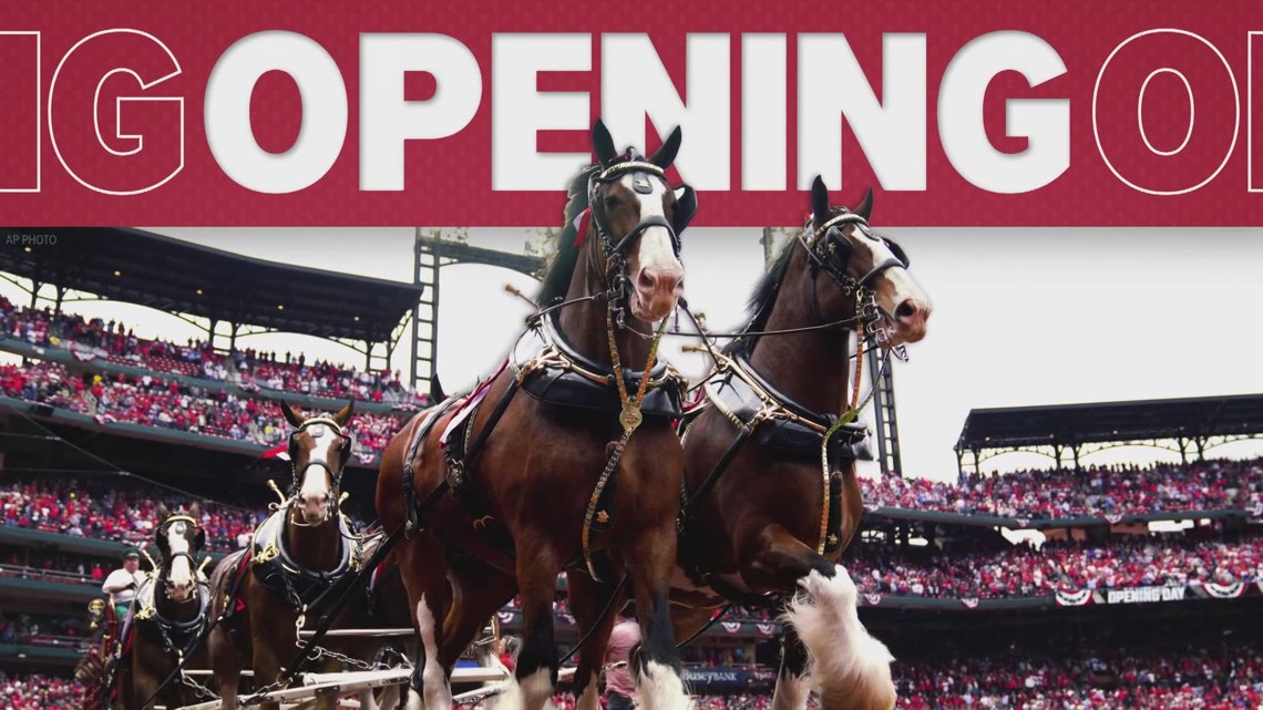 Cardinals Opening Day 2025: Will Rain Affect the Game? – FYM News