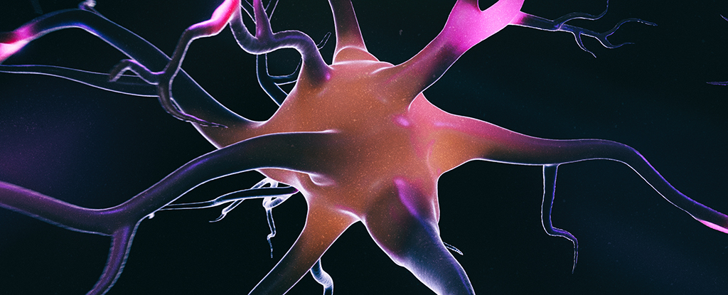 Men’s Higher Parkinson’s Risk: A Potential Breakthrough