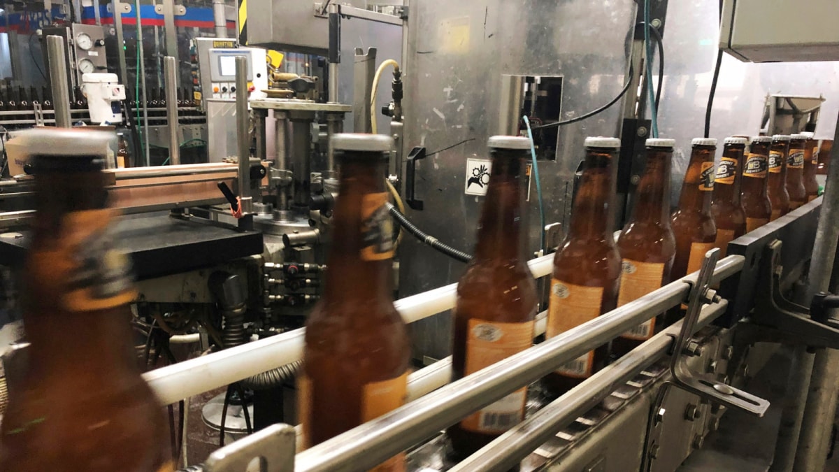 Raise a Glass: Celebrating National Beer Day with 5 Must-Try Brews | FYM News