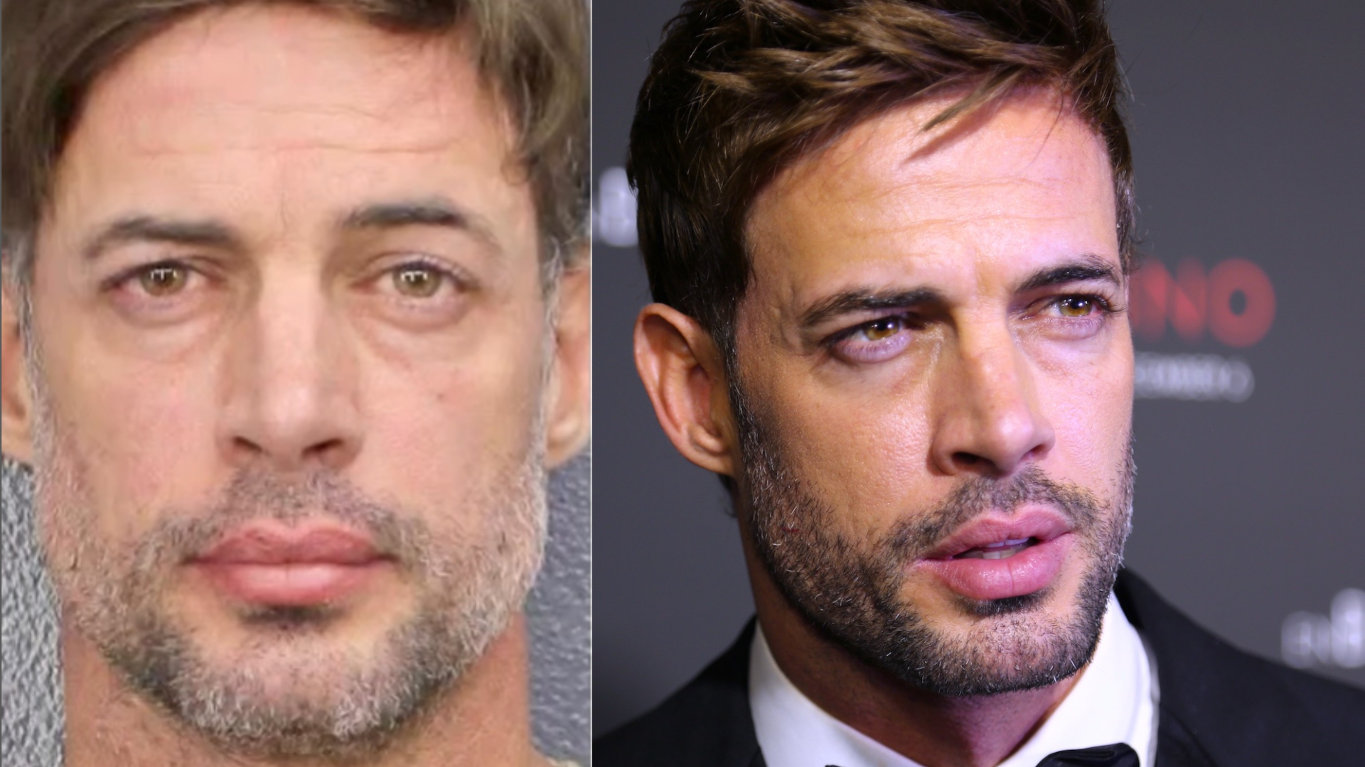 William Levy Arrested: What We Know – FYM News