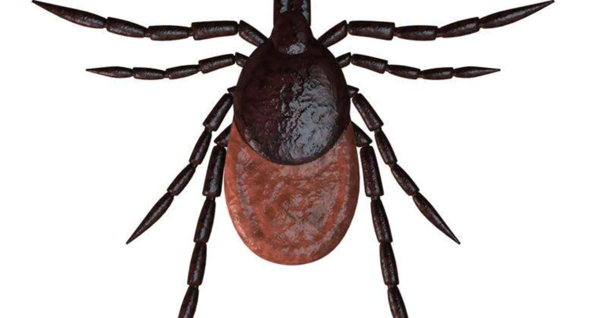 8 Tips to Prevent Tick Exposure: La Salle County Health Department