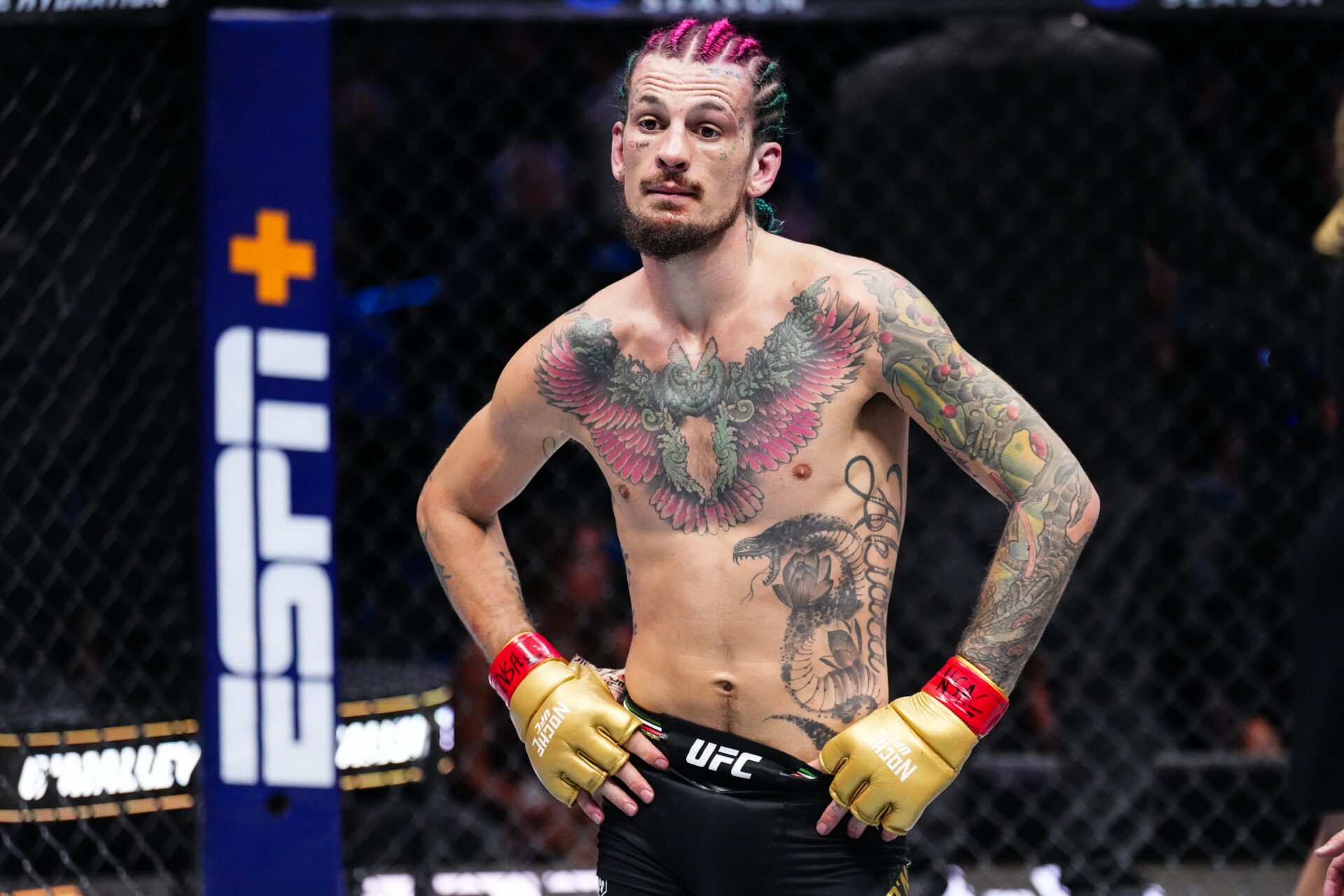 Sean O’Malley’s Coach Blames $2.3 Billion Sphere for Loss to Merab Dvalishvili