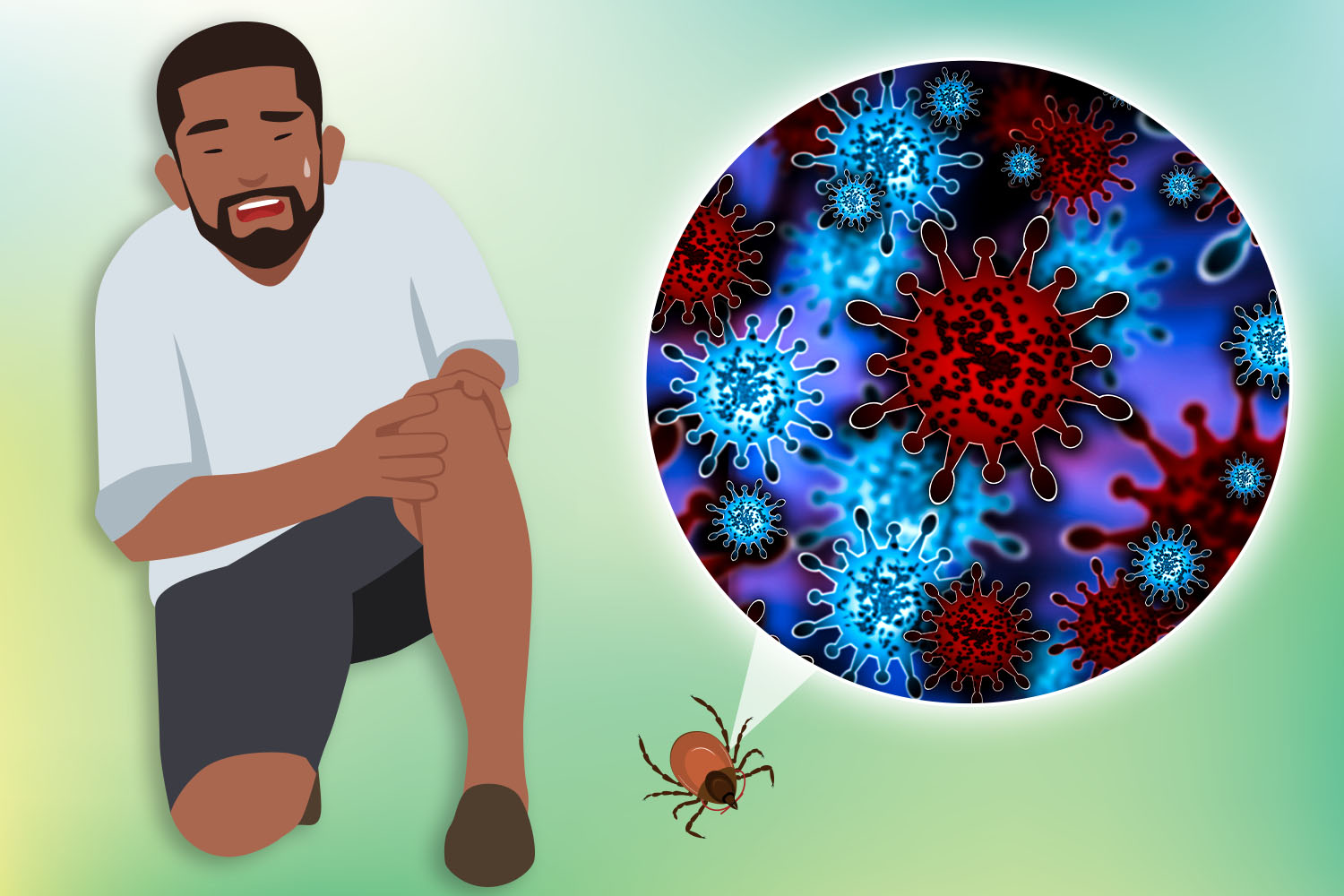 Lyme Disease: The Skin Mark That Signals a Lifelong Infection