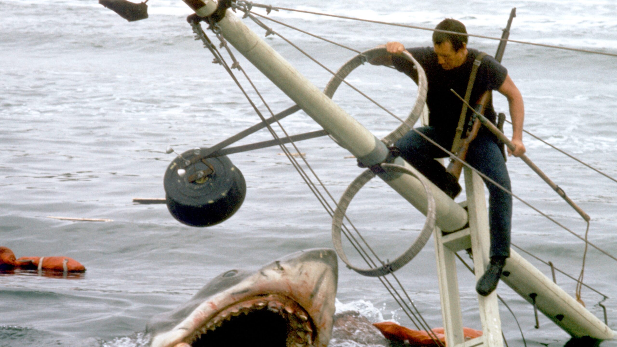 ‘Jaws’ 50th Anniversary: The Enduring Legacy of Spielberg’s Blockbuster | FYM News