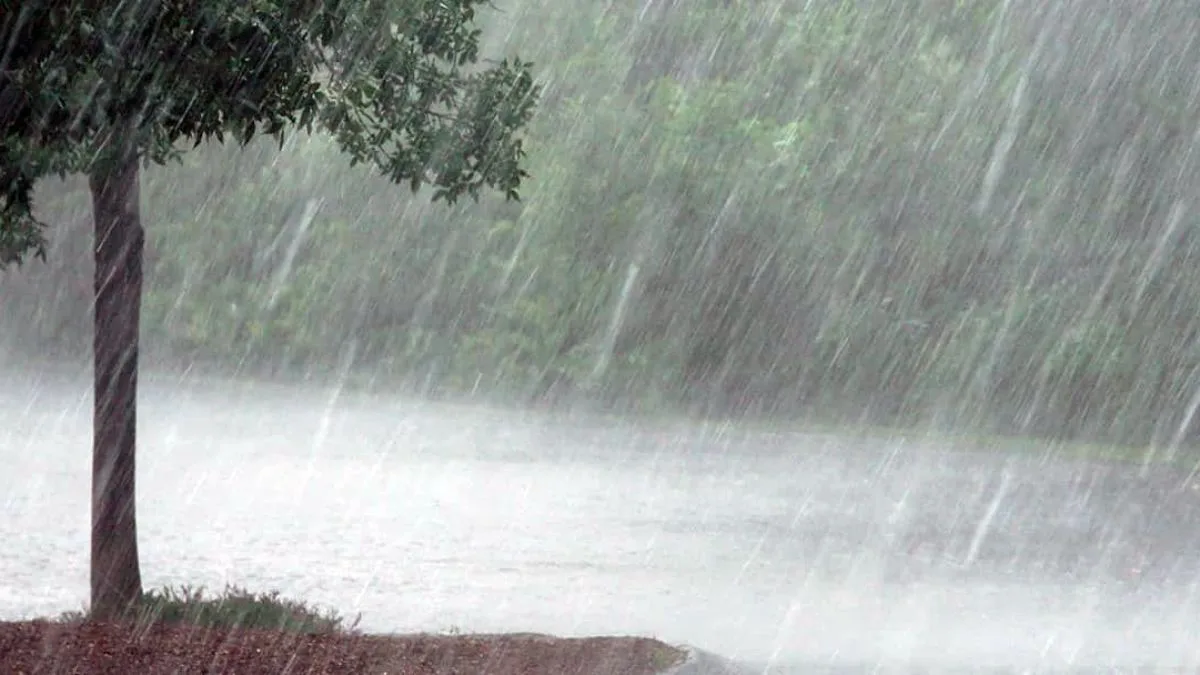 Monsoon Arrives in South Bengal: Heavy Rainfall Predicted | FYM News
