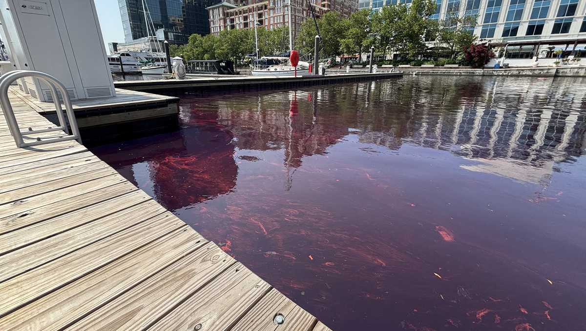 Officials Respond to 2,000-Gallon Fuel Spill from Johns Hopkins Hospital