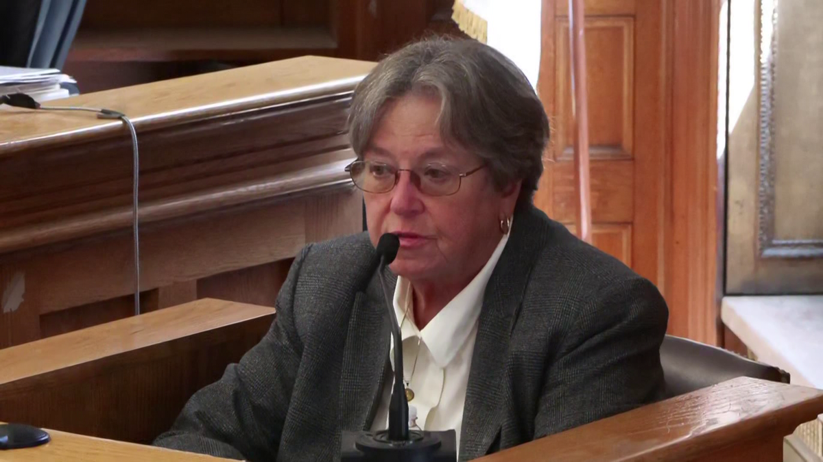 Defense Dog Bite Expert Testifies in Karen Read Murder Trial | FYM News