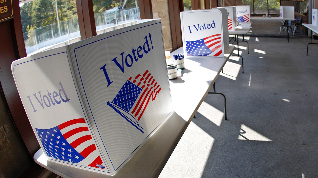 Immigrant Voters Swing to GOP: What’s Tomi Lahren’s Take? | FYM News