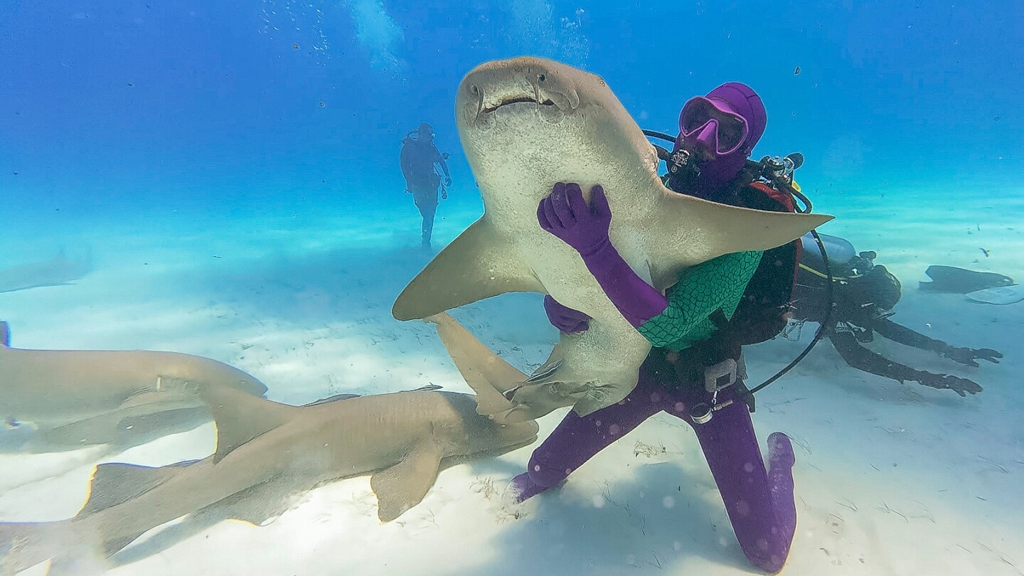 Shark Week 2025: Discovery’s ‘Dancing with Sharks’ Schedule & More | FYM News
