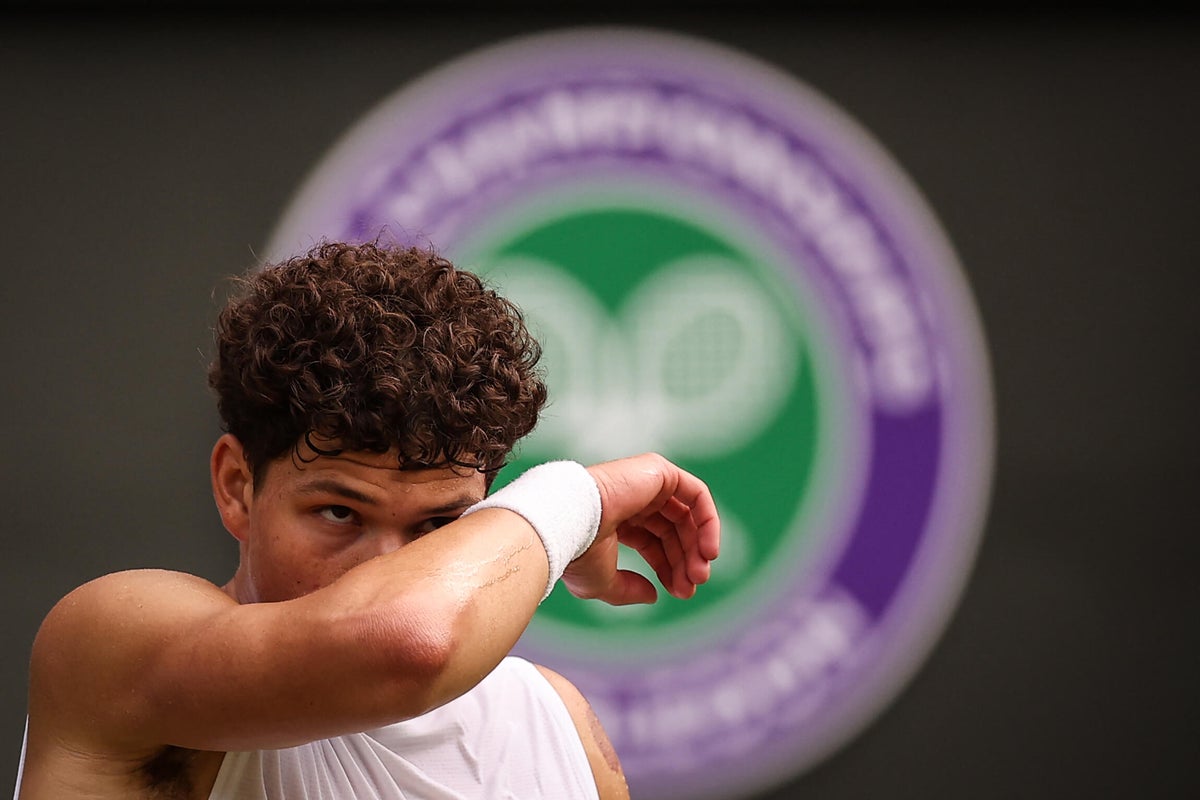 Sinner Defeats Shelton at Wimbledon: A Grand Slam Groundhog Day for the American