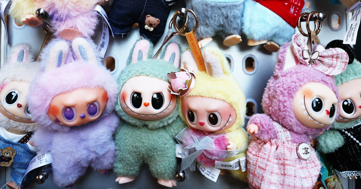 Labubu Burglars Steal Thousands in Merchandise: An FYM News Report