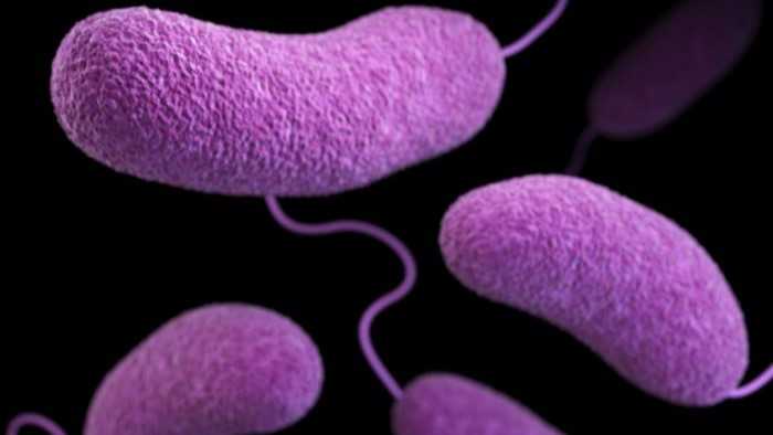 Louisiana Health Officials Warn of Flesh Eating Bacteria: Symptoms and Prevention