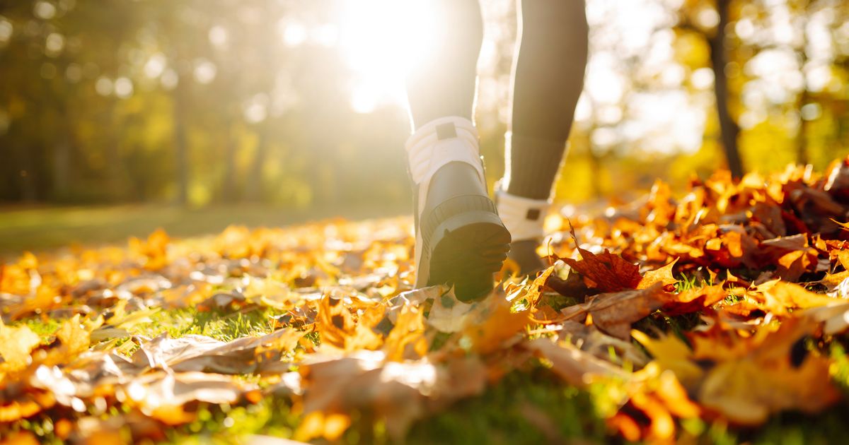 First Day of Fall 2025 & Autumn Equinox: What You Need to Know – FYM News