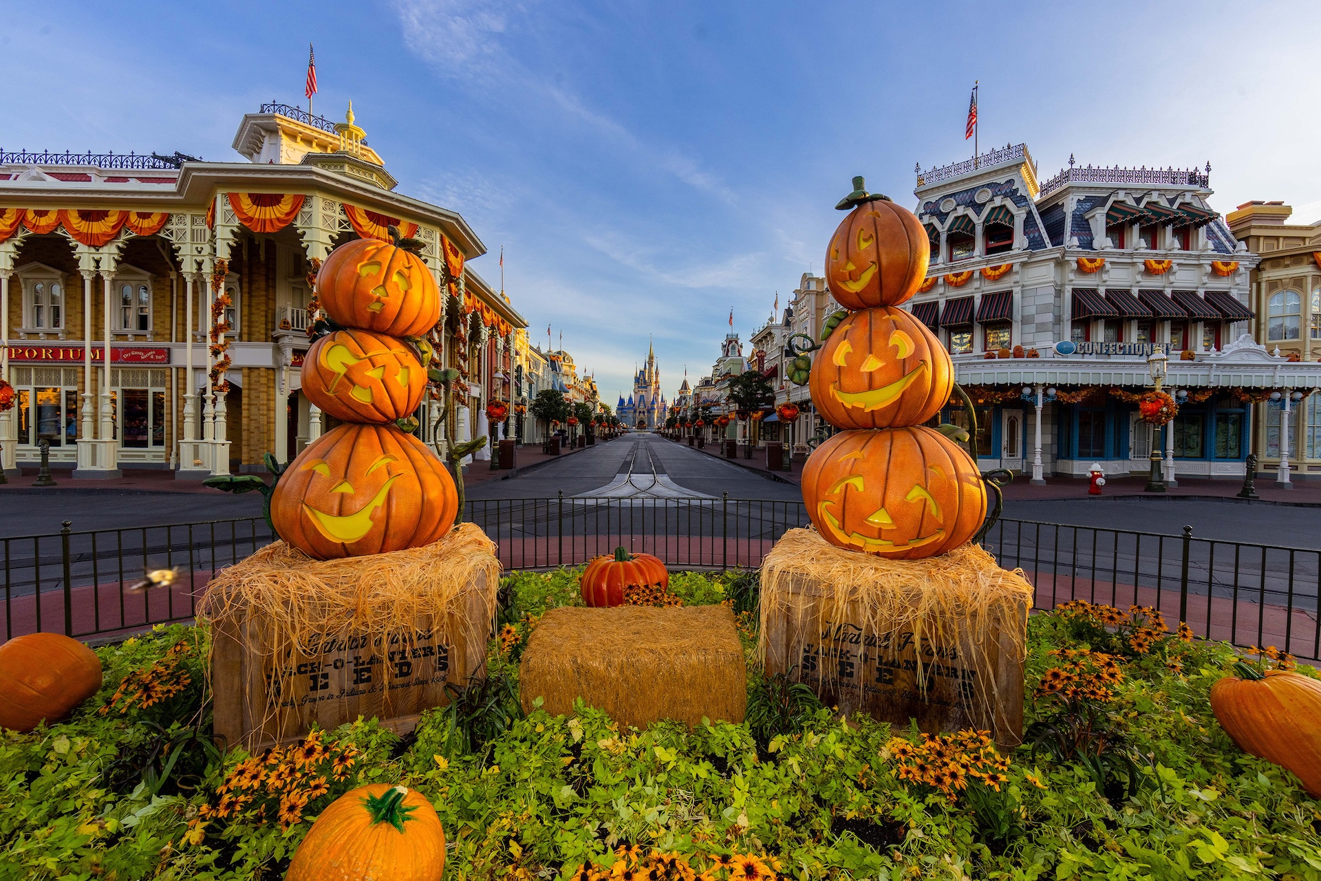 Experience the Magic of Fall at Walt Disney World Resort in 2025 | FYM News