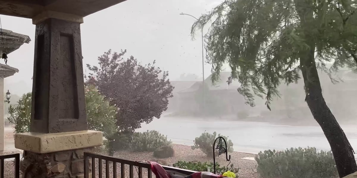 Dust Storm Phoenix: Monsoon Causes Flight Delays at Sky Harbor