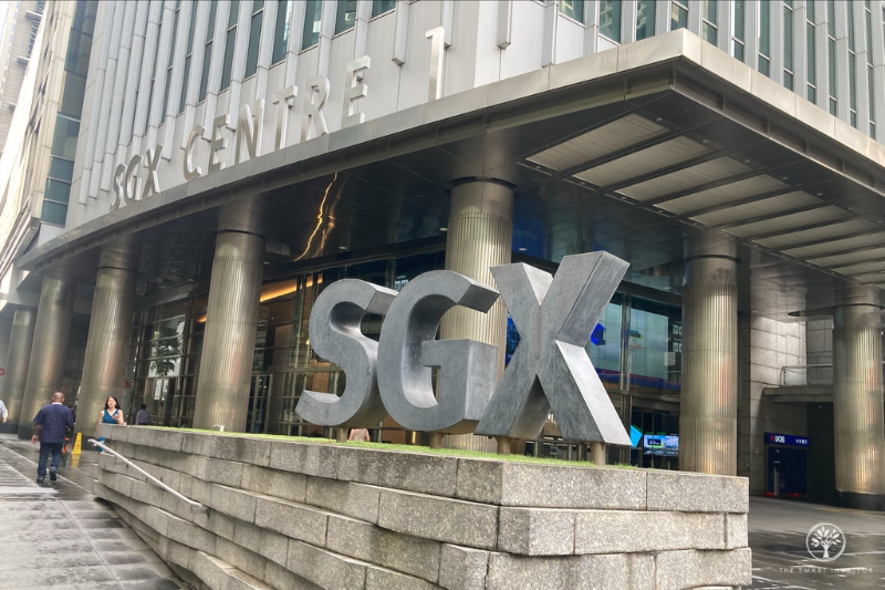 Riding a Market High: 5 Rules to Keep Your Money Safe | FYM News