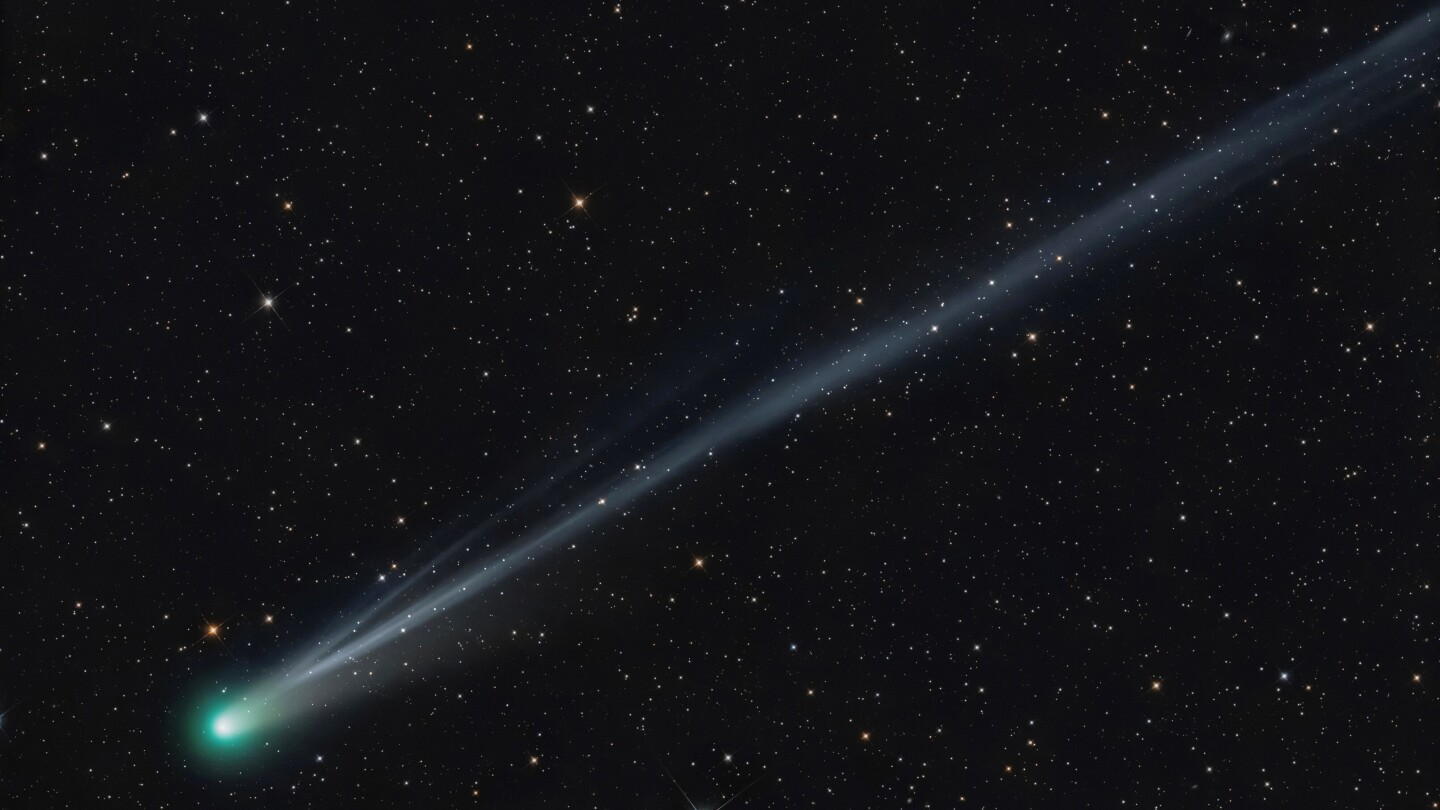 Catching Comets Lemmon and SWAN: A Guide for FYM News Skygazers