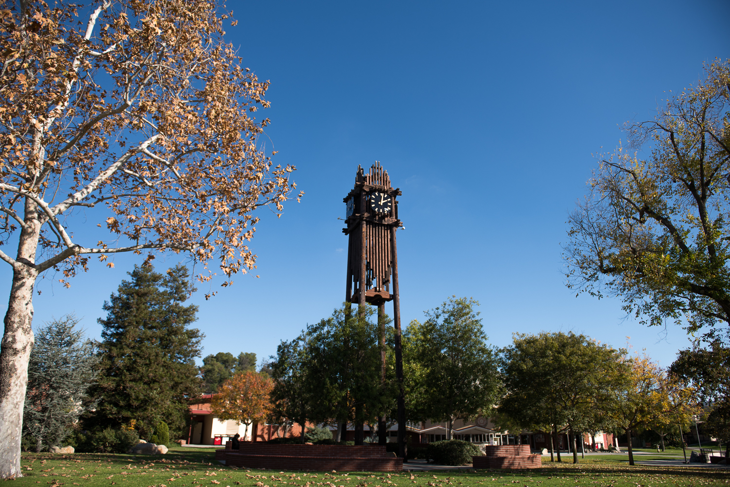 Palomar College Board Removes Anti-Racism Policy: What It Means for Students