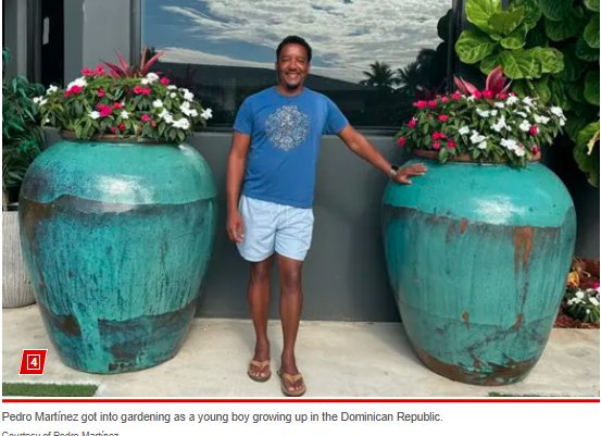 Pedro Martínez: From Baseball Ace to Gardening Enthusiast