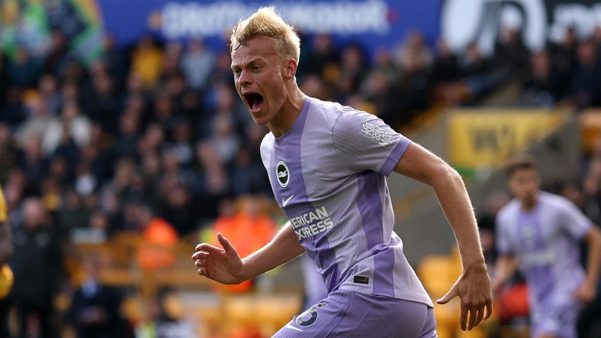 Premier League: Livestream Brighton vs. Newcastle – FYM News