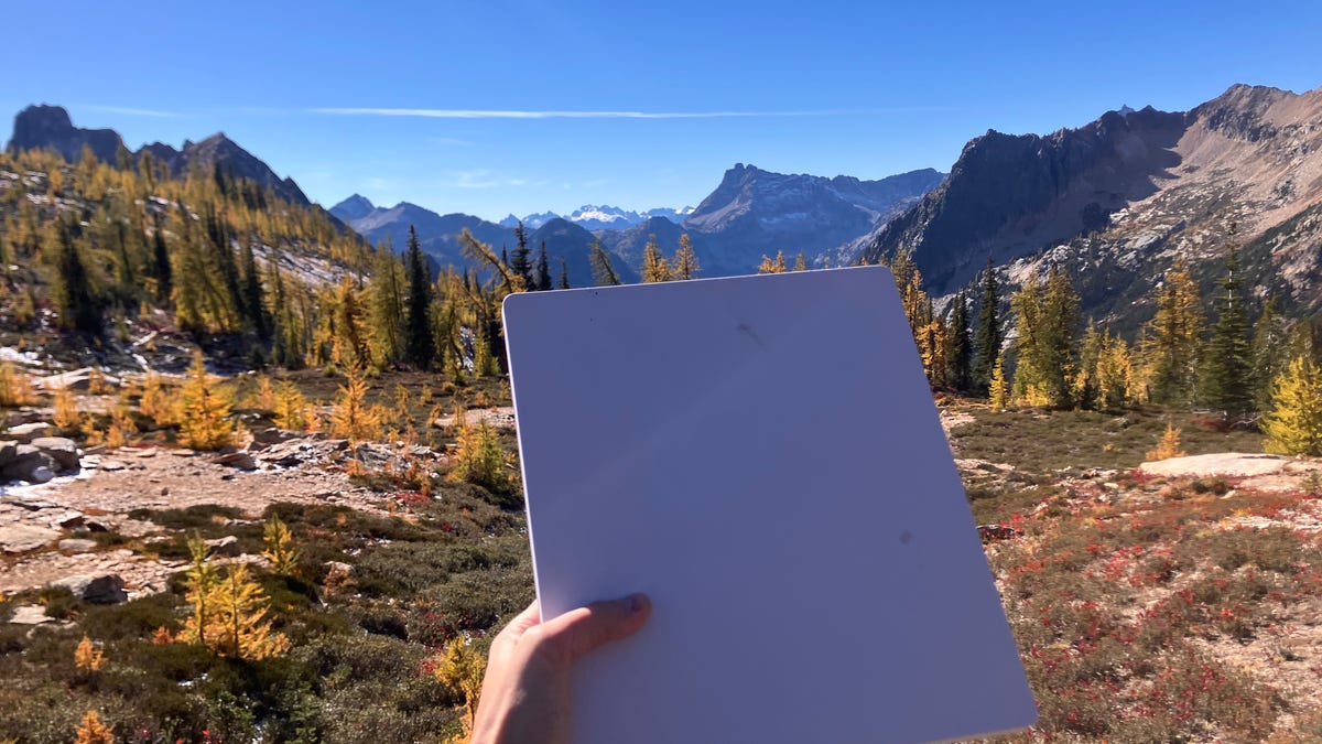 Starlink Mini Review: Untethered Internet in the Washington Wilderness | FYM News