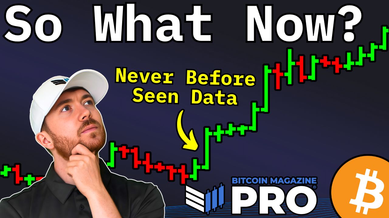 Bitcoin (BTC) Price Prediction: Data Reveals Next Bull Run | FYM News